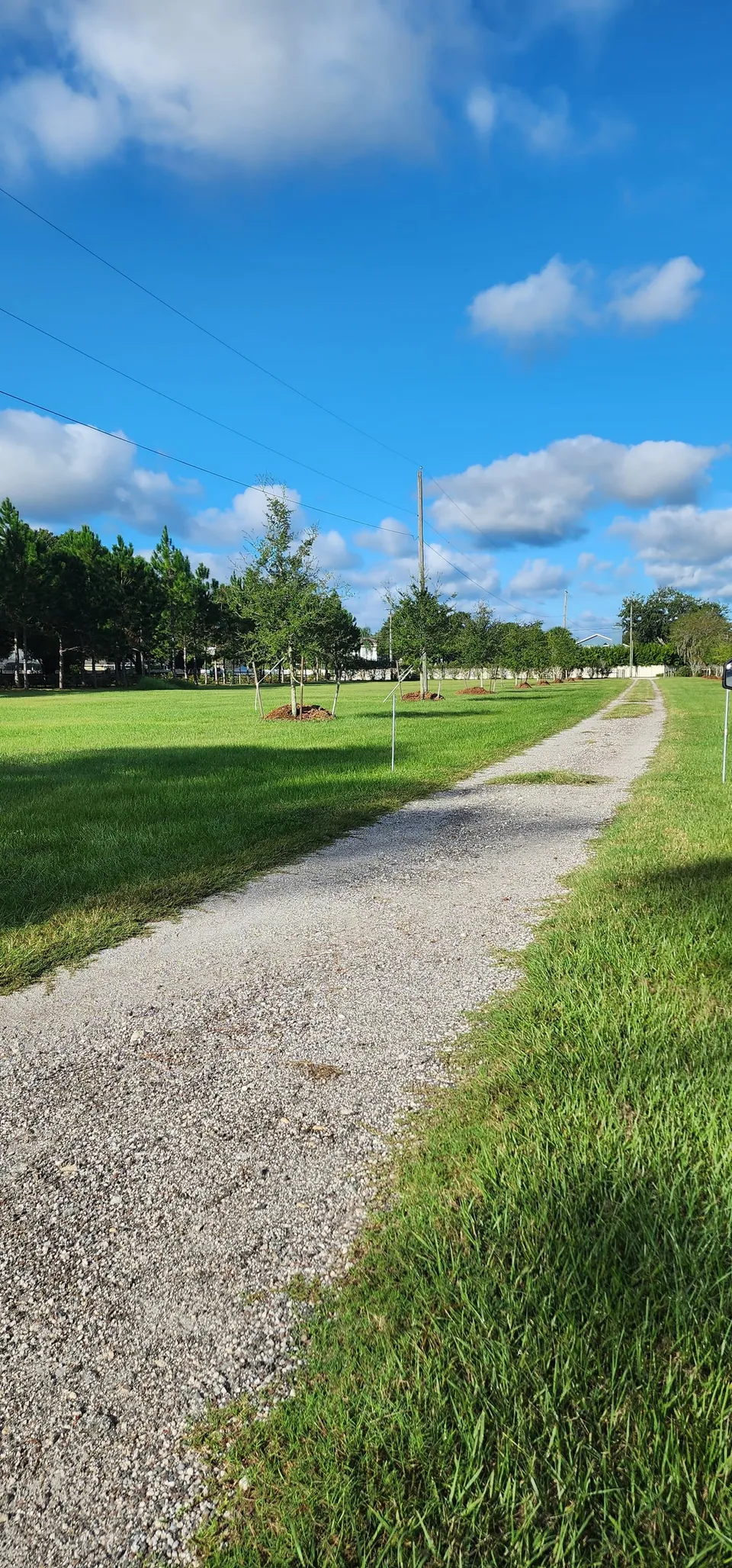 Lawn and verge maintained along a gravel drive