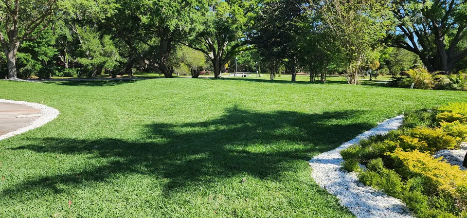 Mulched bed ring cut in around a shade tree