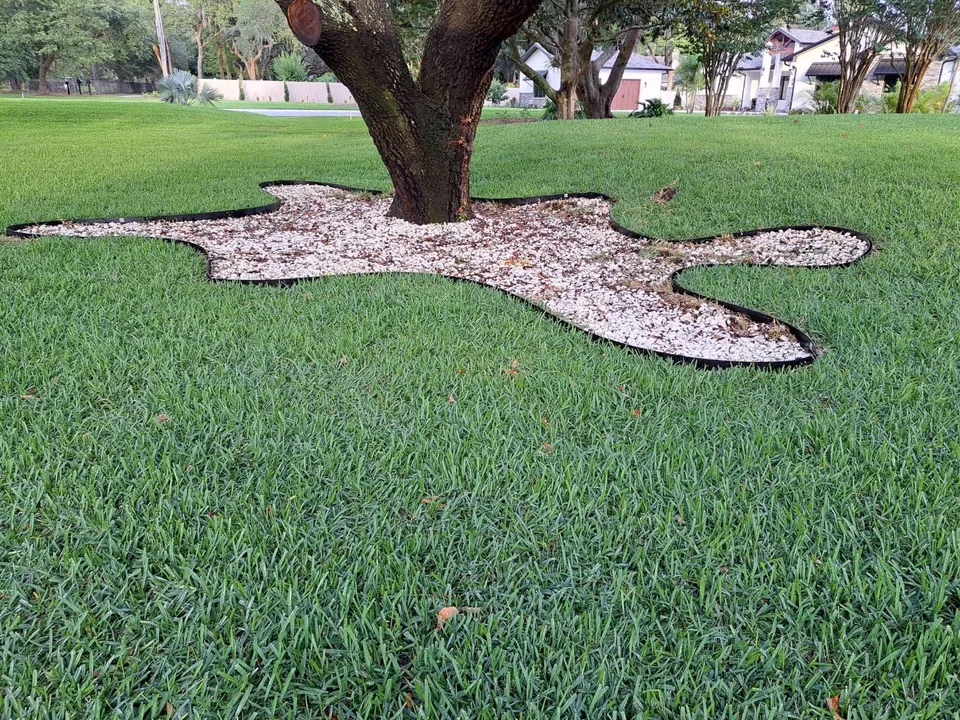 Shaded lawn and bed edging along a curved drive