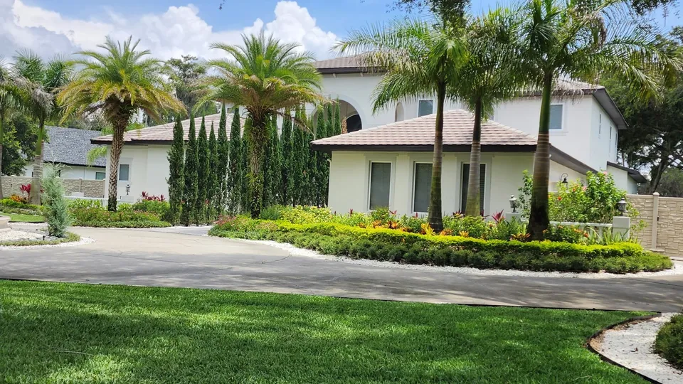 Palm-lined drive kept trimmed and edged